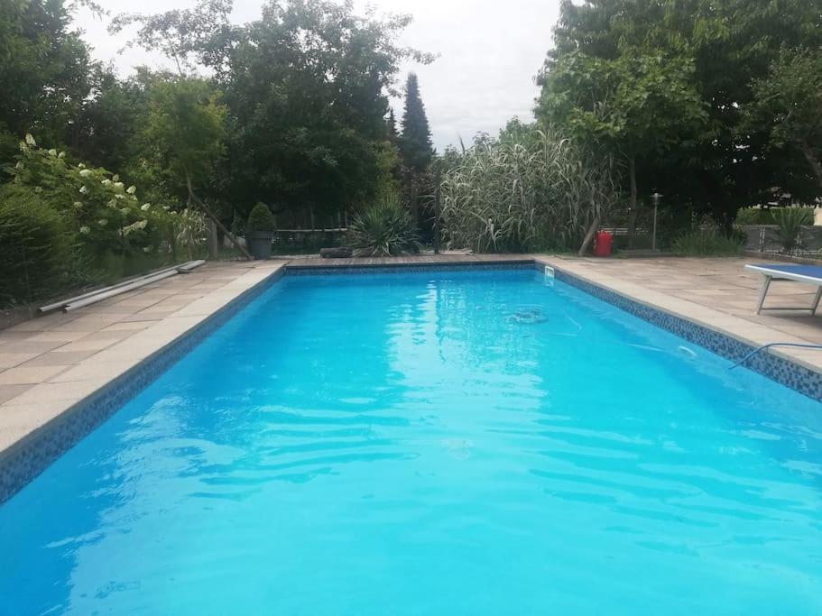 Logement Avec Piscine Brunstatt Ngoại thất bức ảnh